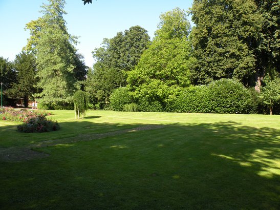  la Pépinière